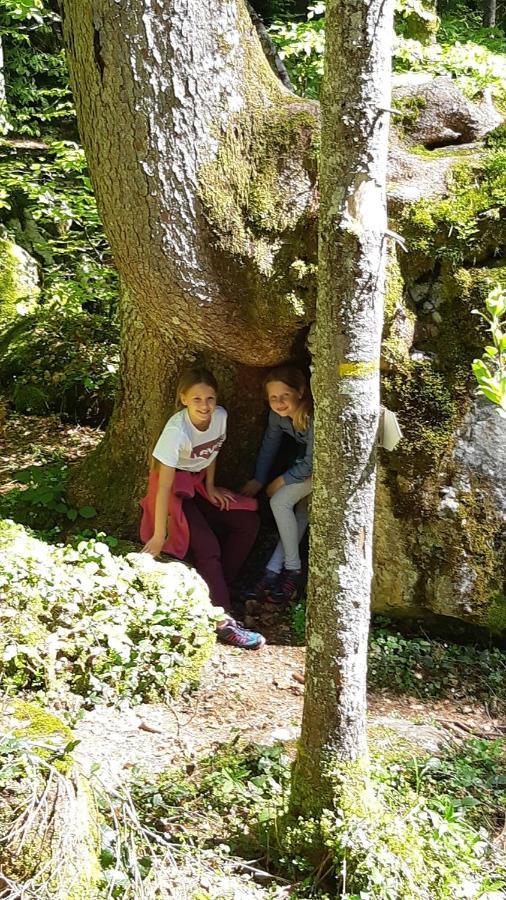 Apartment Nest Sibratsgfäll Zewnętrze zdjęcie