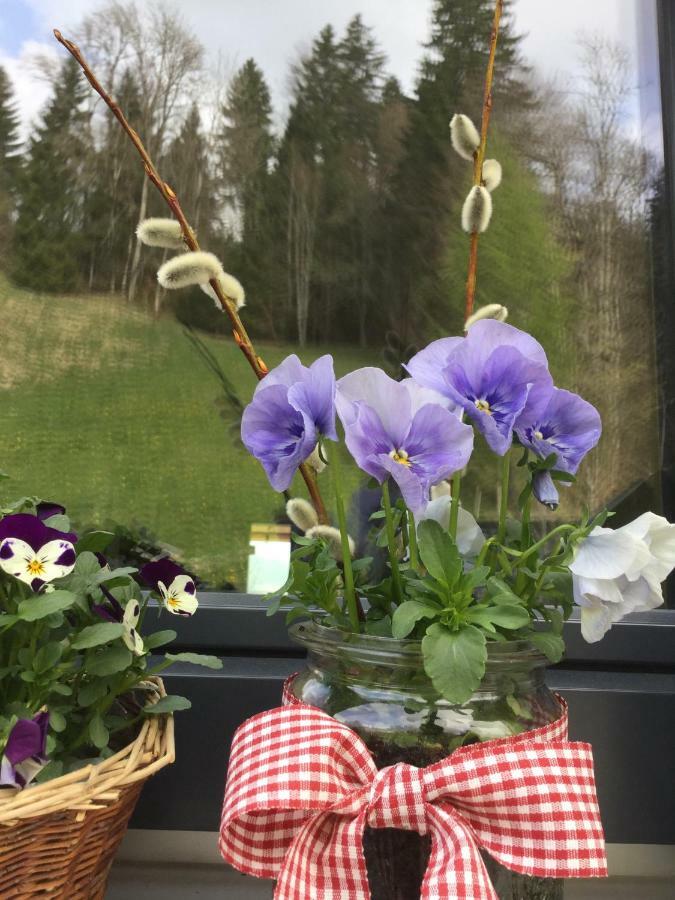 Apartment Nest Sibratsgfäll Zewnętrze zdjęcie
